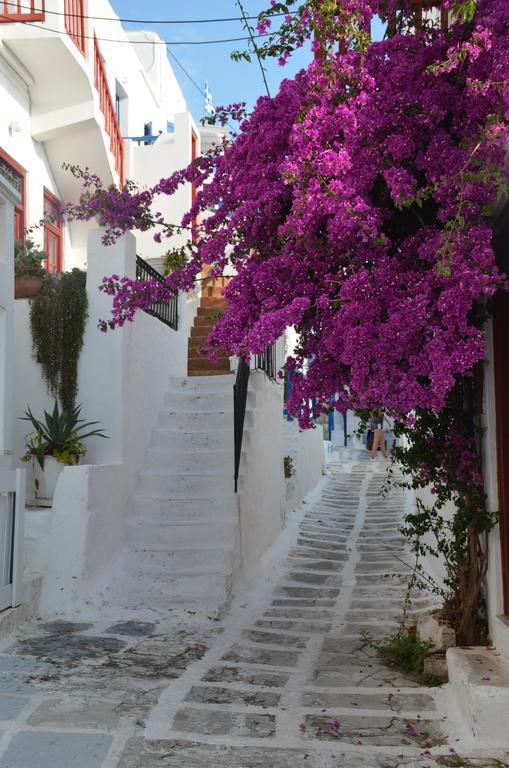 White And Grey Chora Διαμέρισμα Mykonos Town Εξωτερικό φωτογραφία